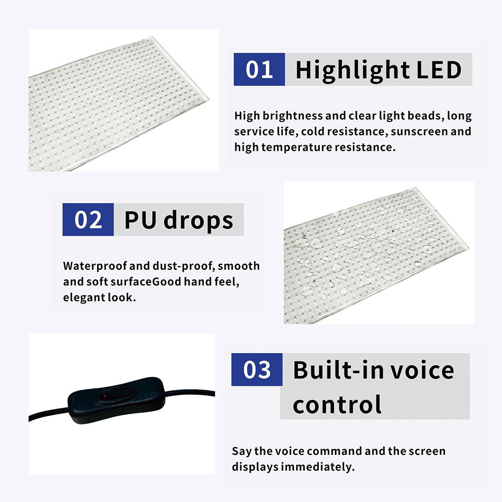 Dual Devil Eyes Programmable LED Panels