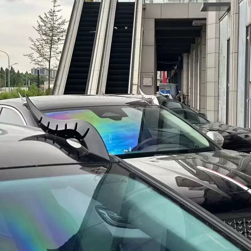 Black and silver dragon horn decorations mounted on a car roof